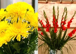 5 loại hoa nên trưng bàn thờ Tết: Giữ cát khí, tụ phúc lành, đón lộc đầu năm