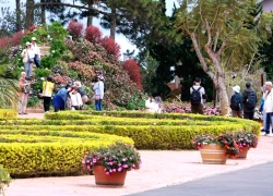 à Lạt thu hút khách quốc tế bằng chiều sâu văn hóa