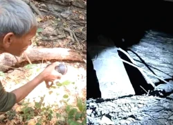 Gia súc liên tục mất tích, dân làng hoang mang kéo đi tìm con lươn 800 năm tuổi