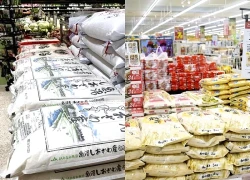 Lượng gạo tồn kho ở Nhật Bản tăng cao kỷ lục