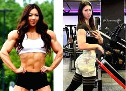 Dân mạng tiếc cho 'búp bê cơ bắp' nổi tiếng Hàn Quốc