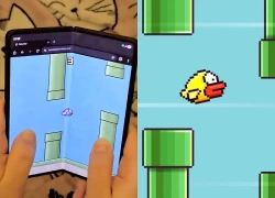 Trải nghiệm Foldy Bird: Cách chơi Flappy Bird độc đáo bằng hành động gập mở điện thoại
