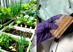 Bị chê keo kiệt suốt nhiều năm, lối sống của thế hệ cũ nay trở thành cái phao cứu giới trẻ