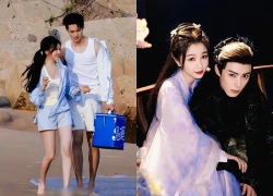 Vương Hạc Đệ làm bẽ mặt Ngu Thư Hân vì một hành động với Triệu Lộ Tư?