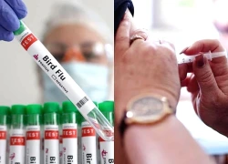 Australia cảnh báo chủng cúm mới lây lan mạnh