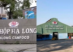 Bắt khẩn cấp Tổng Giám đốc Công ty Cổ phần đồ hộp Hạ Long và 3 cán bộ cấp dưới