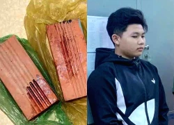 Bắt tạm giam nam thanh niên ném gạch trúng mặt người đi xe máy