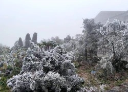 Cẩm nang săn băng tại đỉnh Mẫu Sơn - Chuyến đi an toàn và thú vị