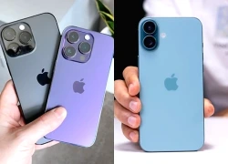 Giá iPhone cũ rẻ nhất, đáng mua nhất hiện nay: Thấp nhất 12 triệu đồng, iPhone 15 Pro, iPhone 13 Pro Max còn bao nhiêu?