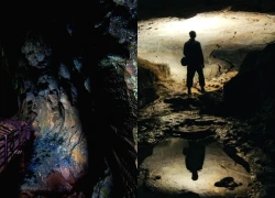 Hai tháng sống trong hang tối, nhà địa chất vô tình phát minh ra một lĩnh vực sinh học mới