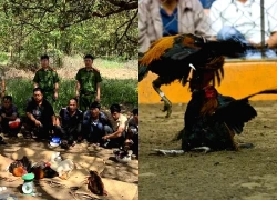 Khởi tố 9 người liên quan tụ điểm cá độ đá gà ở Đồng Nai
