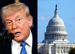 Quốc hội Mỹ tìm cách ghìm cương quyền lực của ông Trump