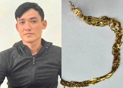 Tạm giữ 2 kẻ cướp giật tài sản ở Đồng Nai và TPHCM