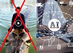 Xử lý người đàn ông dùng AI tạo video "cưỡi trăn" bơi giữa hồ Hoàn Kiếm
