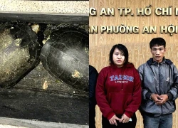 4 anh em ruột chuyên vào chùa trộm rùa đem bán ở TPHCM