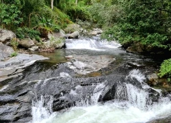 Suối Lạnh Ninh Thuận: Kinh nghiệm khám phá điểm dã ngoại hoang sơ và mát lạnh giữa núi rừng Bác Ái