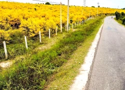 Điểm 'check-in gây sốt' khi du lịch Phan Thiết