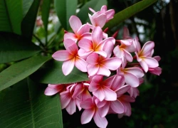 Đúng 20h hôm nay, ngày 14/1/2026, 3 con giáp này lộc nhiều vô kể, đếm tiền không hết, no nê tiêu xài, một bước đổi đời