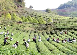 Khám phá du lịch Bình Thuận