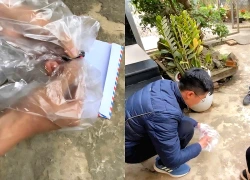 Người phụ nữ giấu ma túy trong bao thuốc lá, ném bỏ khi gặp cảnh sát