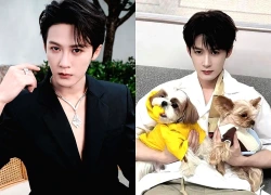 Ồn ào tình ái khiến sự nghiệp mỹ nam Đàn Kiện Thứ chao đảo