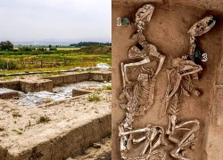 Phát hiện khảo cổ hé lộ vườn thú cổ đại 3.000 năm ở Trung Quốc