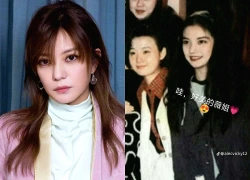 Quá khứ được giấu kỹ của Triệu Vy