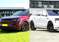 SUV hạng sang công suất công suất 309 mã lực, giá hơn 1,1 tỷ đồng