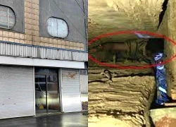 Thi thể cô gái Nhật bị giấu ở khe tường, chủ quán bật 5 máy lọc không khí