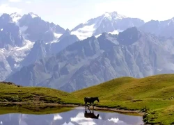 Thung lũng Pankisi - Viên ngọc phủ bụi định kiến