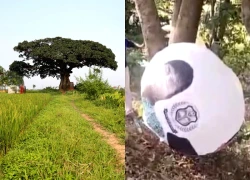 Vật thể lạ rơi trên cánh đồng khiến người dân hoảng sợ