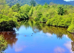 Vườn quốc gia Phú Quốc: Cẩm nang trekking và khám phá lá phổi xanh giữa lòng đảo ngọc