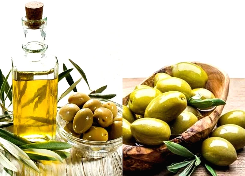 Bôi dầu ô liu lên da mỗi ngày: Lợi ích bất ngờ và những điều cần lưu ý