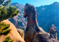 Tảng đá hình ngựa trên núi hút du khách check-in