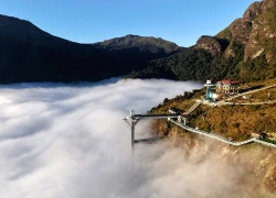 Cầu kính Rồng Mây hút khách với loạt trải nghiệm mạo hiểm