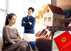 Chỉ vì 100m2 đất, vợ tôi làm náo loạn nhà chồng