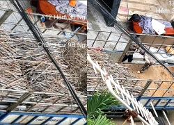 Công an tiếp nhận vụ lực lượng cưỡng chế bị tố bán tài sản của người dân