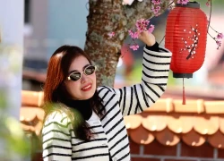 Du khách tìm đến mai anh đào Đà Lạt trước giờ khai hội