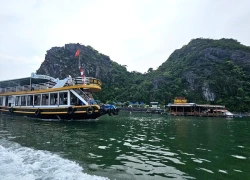 Đưa "đảo xanh" Cát Bà trở thành "điểm hẹn bốn mùa"