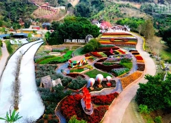 Hẹn ước mùa hoa trên cao nguyên Mộc Châu