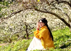 Hoa mận trắng đồi, dịch vụ chụp ảnh ở Mộc Châu vào mùa "hốt bạc"