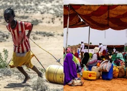 Nguy cơ thiếu lương thực nghiêm trọng bủa vây các nước châu Phi