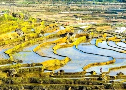 Pù Luông mùa nước đổ: Chiêm ngưỡng bức tranh gương soi khổng lồ giữa núi rừng