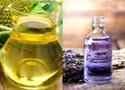 Vì sao dầu hướng dương được ví như "bí quyết vàng" cho làn da khỏe đẹp?