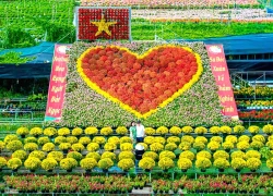 Thủ phủ hoa lớn nhất miền Tây bừng sắc, du khách tranh thủ 'check -in'