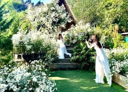 Trải nghiệm du lịch sinh thái qua những vùng hoa