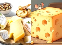 Ăn phô mai béo giảm nguy cơ mắc chứng mất trí nhớ