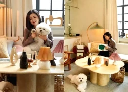 Bỏ 75 triệu/tháng thuê nhà, không kết hôn: Người phụ nữ 37 tuổi chọn "an toàn tài chính" theo cách không giống ai