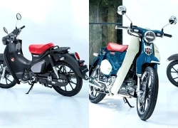 Cập nhật bảng giá xe Honda Super Cub C125 mới nhất tháng 1/2026