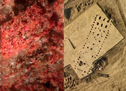 Chu sa cực độc xuất hiện trong mộ cổ Scythia, bí mật 2.000 năm lộ diện